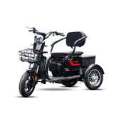 XE MÁY ĐIỆN 3 BÁNH D2