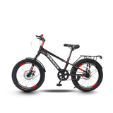 XE ĐẠP TRẺ EM WINNER V20