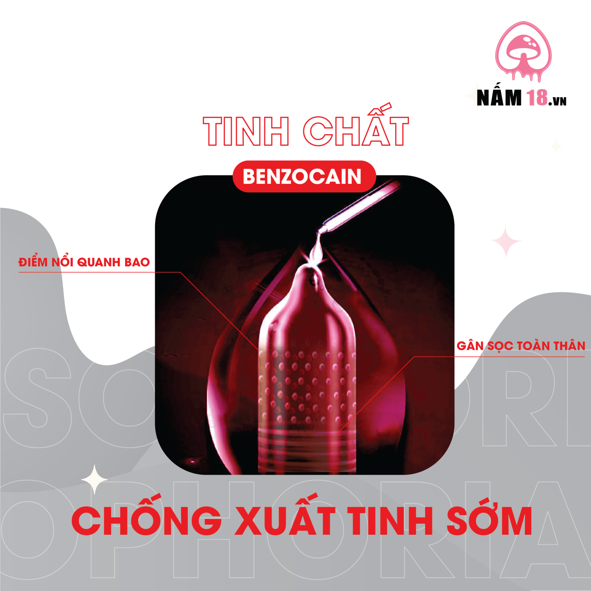 Bao Cao Su Kéo Dài Thời Gian, Điểm Nổi Feel Euphoria 4in1 - Hộp 12 Cái
