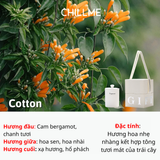 Nến thơm phòng quà tặng candle Chillme thạch cao thơm phòng ngủ decor khử mùi NTC01