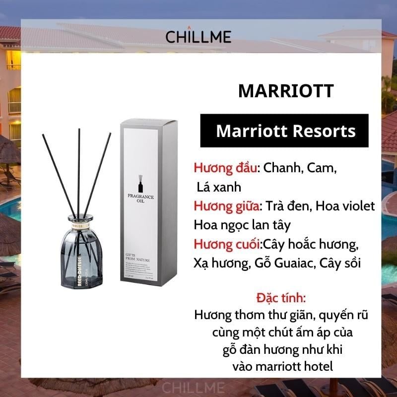 Tinh dầu thơm phòng thiên nhiên Chillme que gỗ khuếch tán hương cao cấp thư giãn sang trọng 120ml