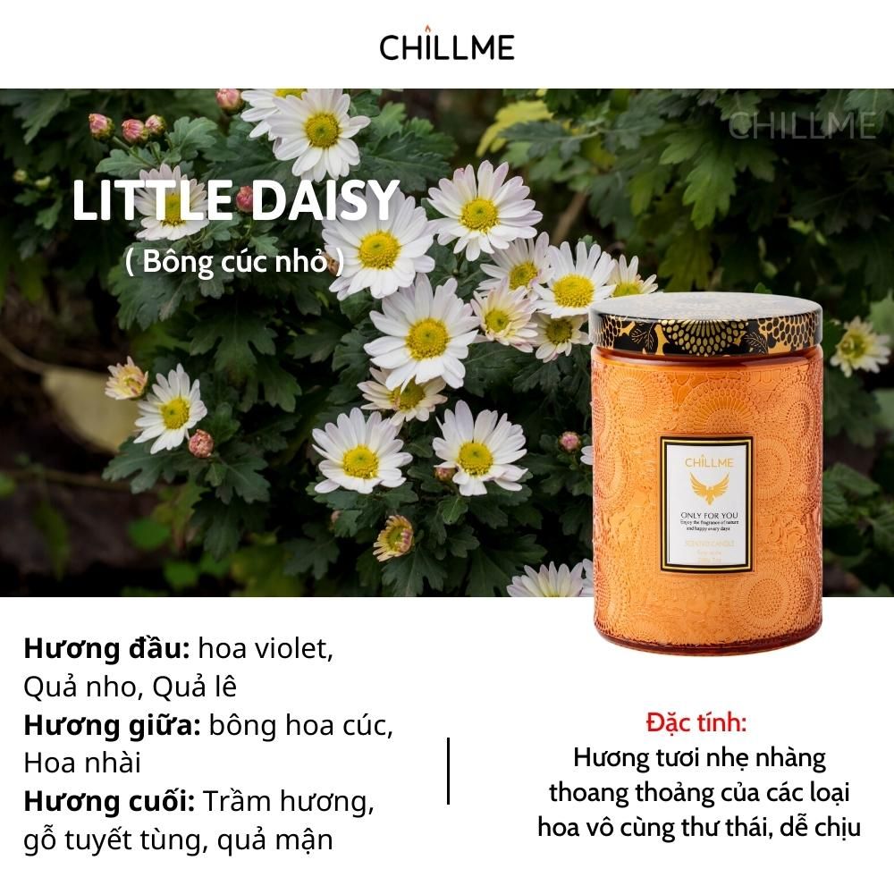  Nến thơm tinh dầu size L Chillme 785g sáp đậu nành không khói hương thơm thư giãn nhẹ nhàng 