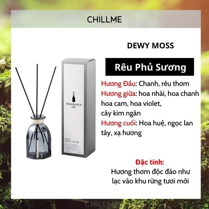 Tinh dầu thơm phòng thiên nhiên Chillme que gỗ khuếch tán hương cao cấp thư giãn sang trọng 120ml