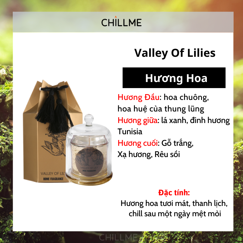 Nến thơm phòng ngủ tinh dầu tự nhiên không khói sang trọng thư giãn trang trí LXR05 - Chillme