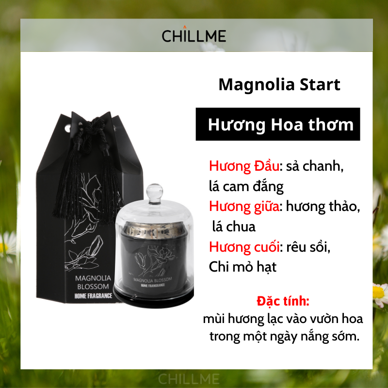 Nến thơm phòng ngủ tinh dầu tự nhiên không khói sang trọng thư giãn trang trí LXR05 - Chillme