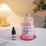 Lọ khuyếch tán tinh dầu Chillme đá pha lê thơm phòng khử mùi làm quà tặng thay may xông - BKTCT1