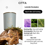 Nến thơm phòng ngủ quà tặng Chillme khử mùi candles thư giãn không khói cao cấp sang trọng - HEART