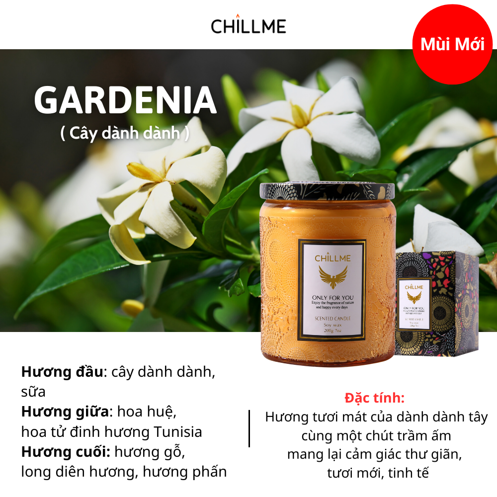  Nến thơm phòng tinh dầu chillme  Luxury 400g organic không khói dễ ngủ trang trí - LXR 