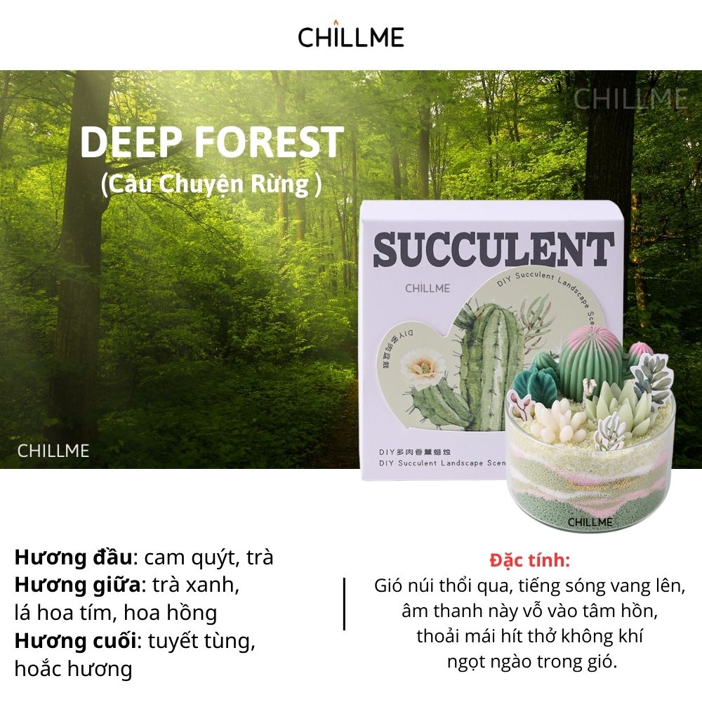 Nến thơm xương rồng tranh cát Chillme DIY handmade khử mùi làm quà tặng cưới sinh nhật decor