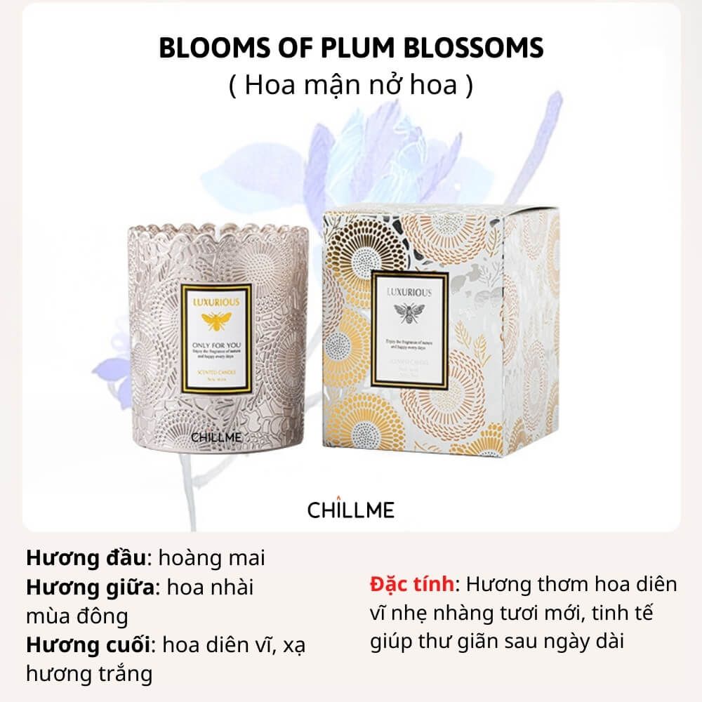 Nến thơm phòng classic Chillme mùi hương tự nhiên làm quà tặng thư giãn khử mùi decor