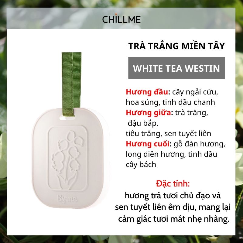 Sáp thơm phòng ngủ thạch cao Chillme khử mùi ô tô nhà vệ sinh đuổi muỗi hương nước hoa cao cấp