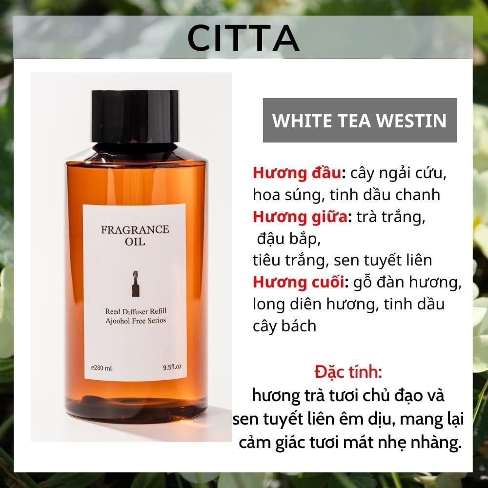 Tinh dầu nước hoa chai lớn 280ml bổ sung refill thay thế tán hương thơm phòng Chillme