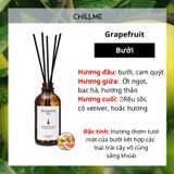  Tinh dầu thiên nhiên thơm phòng cao cấp nguyên chất 100ml TD02 xông phòng, đuổi muỗi - Chillme 