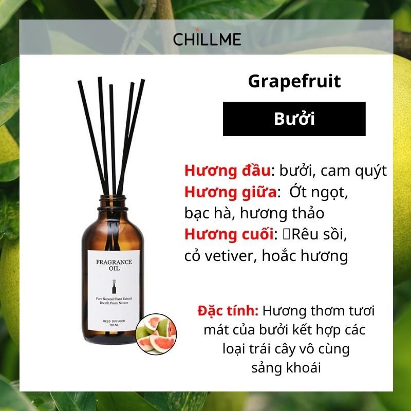 Tinh dầu thiên nhiên thơm phòng cao cấp nguyên chất 100ml TD02 xông phòng, đuổi muỗi - Chillme