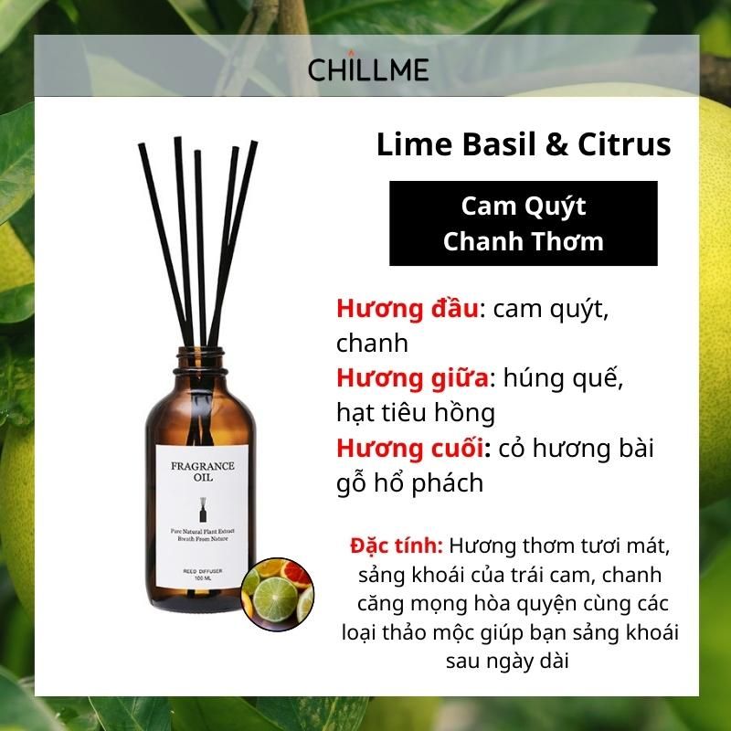  Tinh dầu thiên nhiên thơm phòng cao cấp nguyên chất 100ml TD02 xông phòng, đuổi muỗi - Chillme 