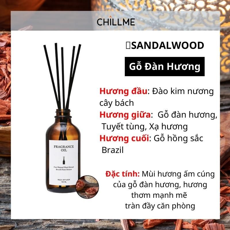  Tinh dầu thiên nhiên thơm phòng cao cấp nguyên chất 100ml TD02 xông phòng, đuổi muỗi - Chillme 