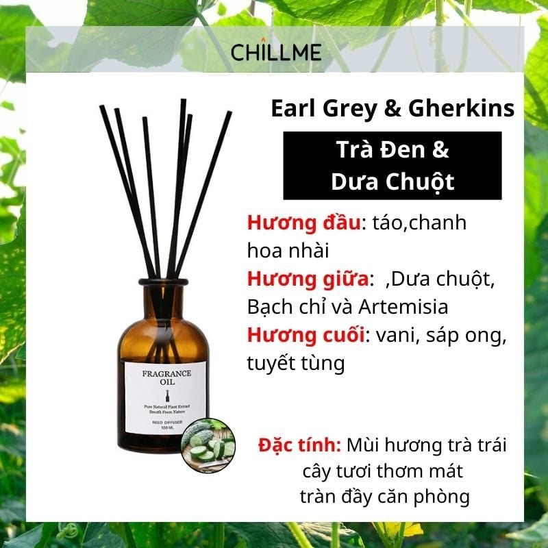 Tinh dầu thiên nhiên thơm phòng cao cấp nguyên chất 100ml TD02 xông phòng, đuổi muỗi - Chillme