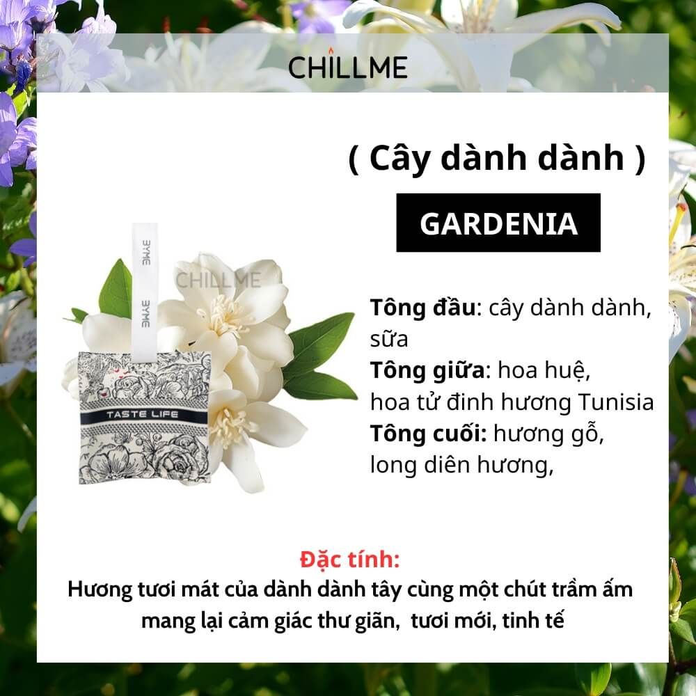 Túi thơm treo xe ô tô Chillme khử mùi hương nước hoa làm thơm phòng ngủ tủ quần áo 3 tầng hương