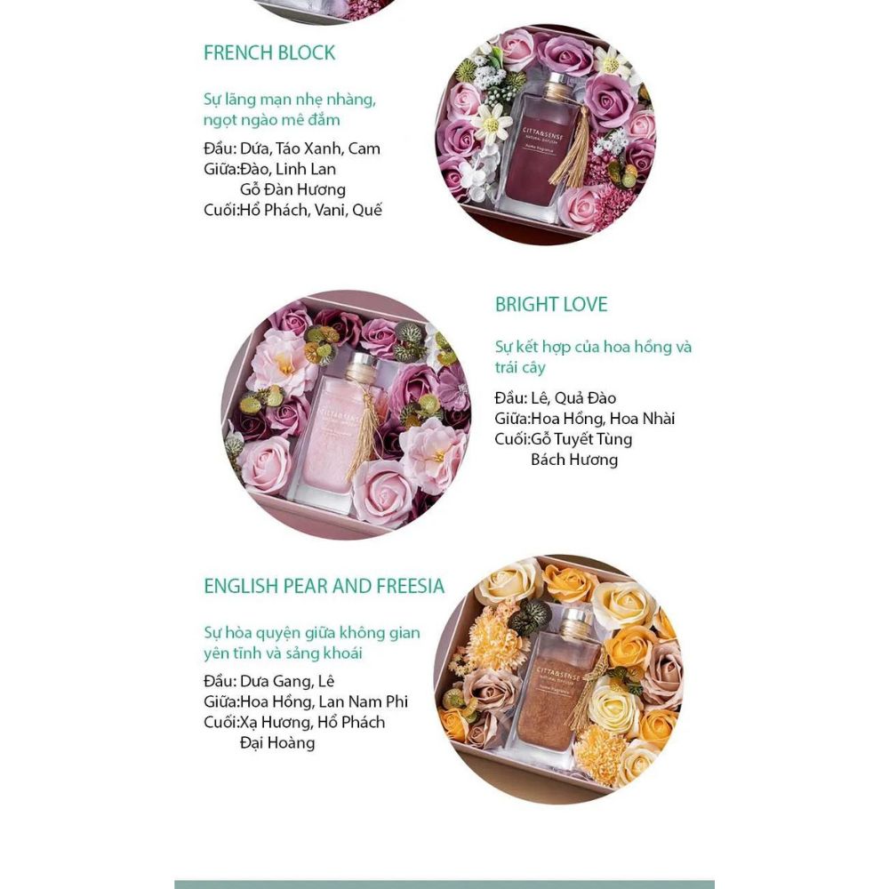 Set tinh dầu quà tặng thơm phòng Chillme hoa sáp trang trí sinh nhật bạn gái đám cưới ngày lễ