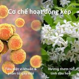 Xịt thơm quần áo hương nước hoa Chillme tinh dầu - XTCTTP01