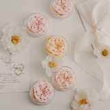 Nến thơm tealight tạo hình hoa hồng Rose Chillme có đế trang trí dễ thương làm quà tặng đám cưới ngày lễ