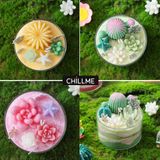  Nến thơm xương rồng tranh cát Chillme DIY handmade khử mùi làm quà tặng cưới sinh nhật decor 