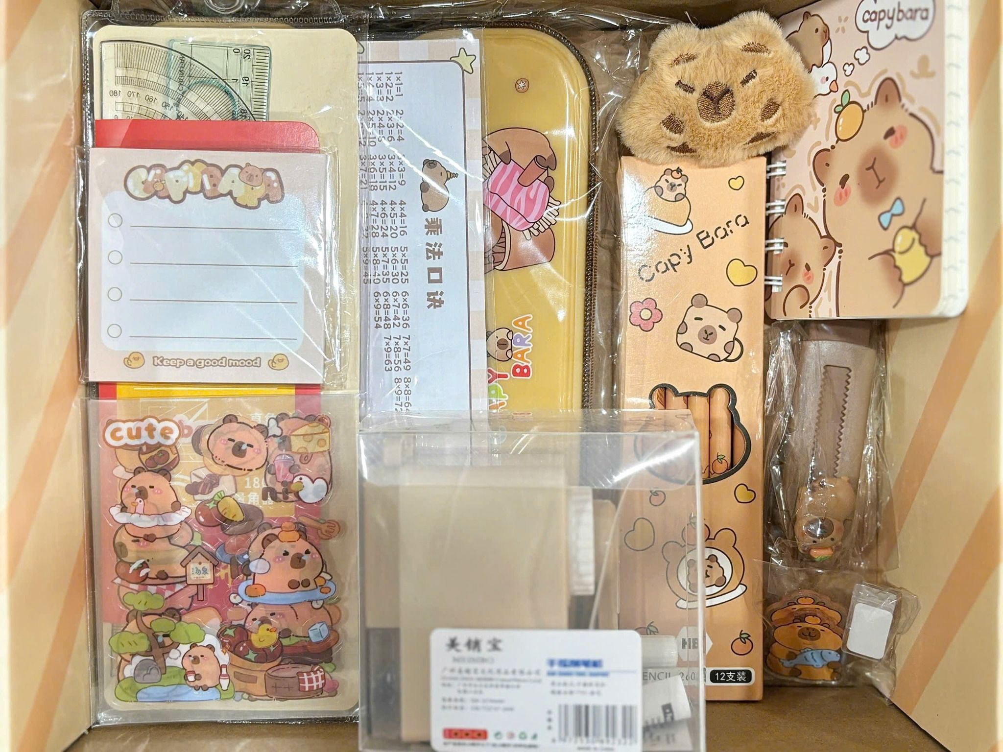 Bộ sưu tập CAPYBARA Hộp quà tặng đồ dùng học tập Capybara rất dễ thương, 6ages+, No. XXTZ-982A