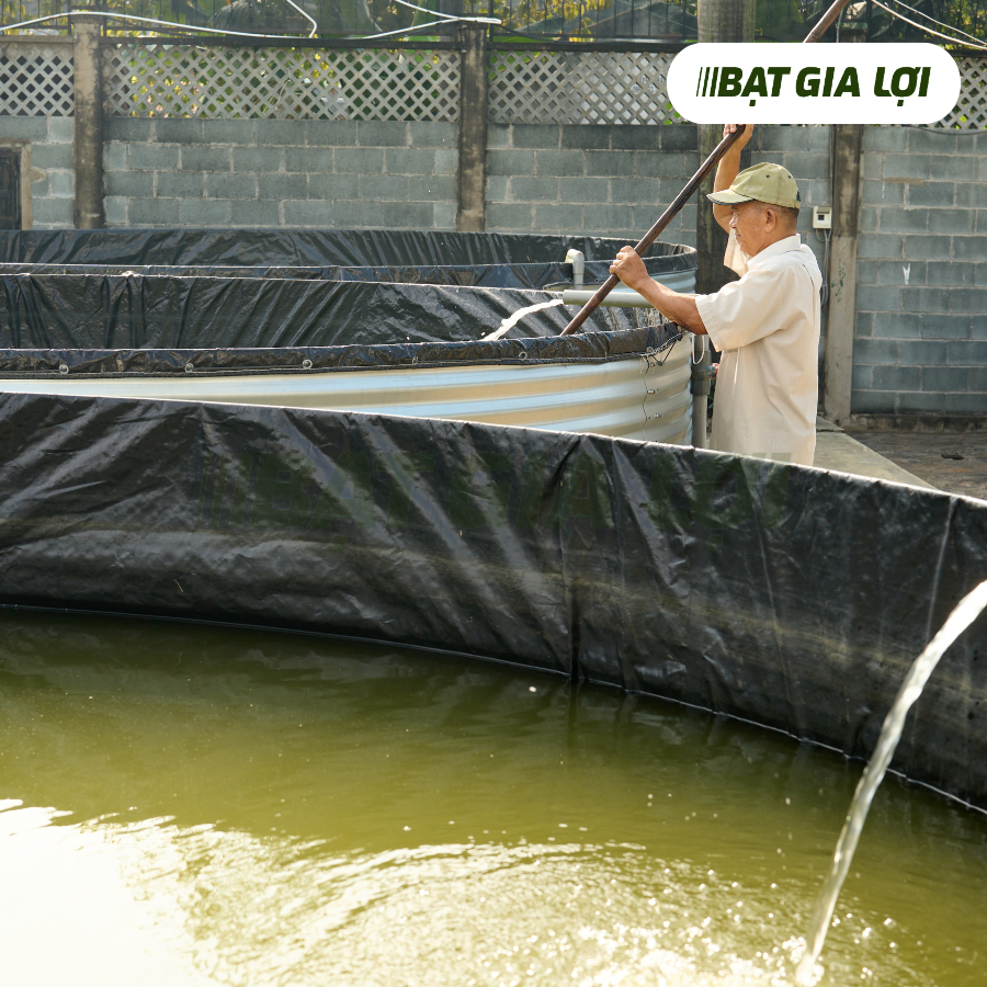 Hồ Tròn Nổi Tôn Chứa Nước, Nuôi Tôm, Cá