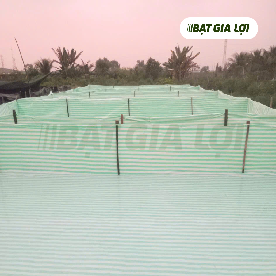 Bạt Nhựa PE Sọc Xanh Lá, Trắng 170gr/m2