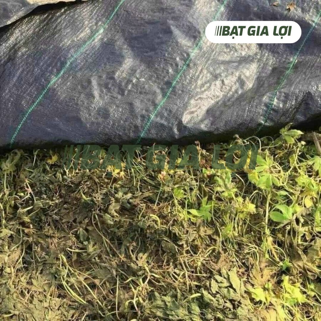 Bạt Phủ Chống Cỏ PP 120gr/m2 Đen - Tiêu Chuẩn Mỹ