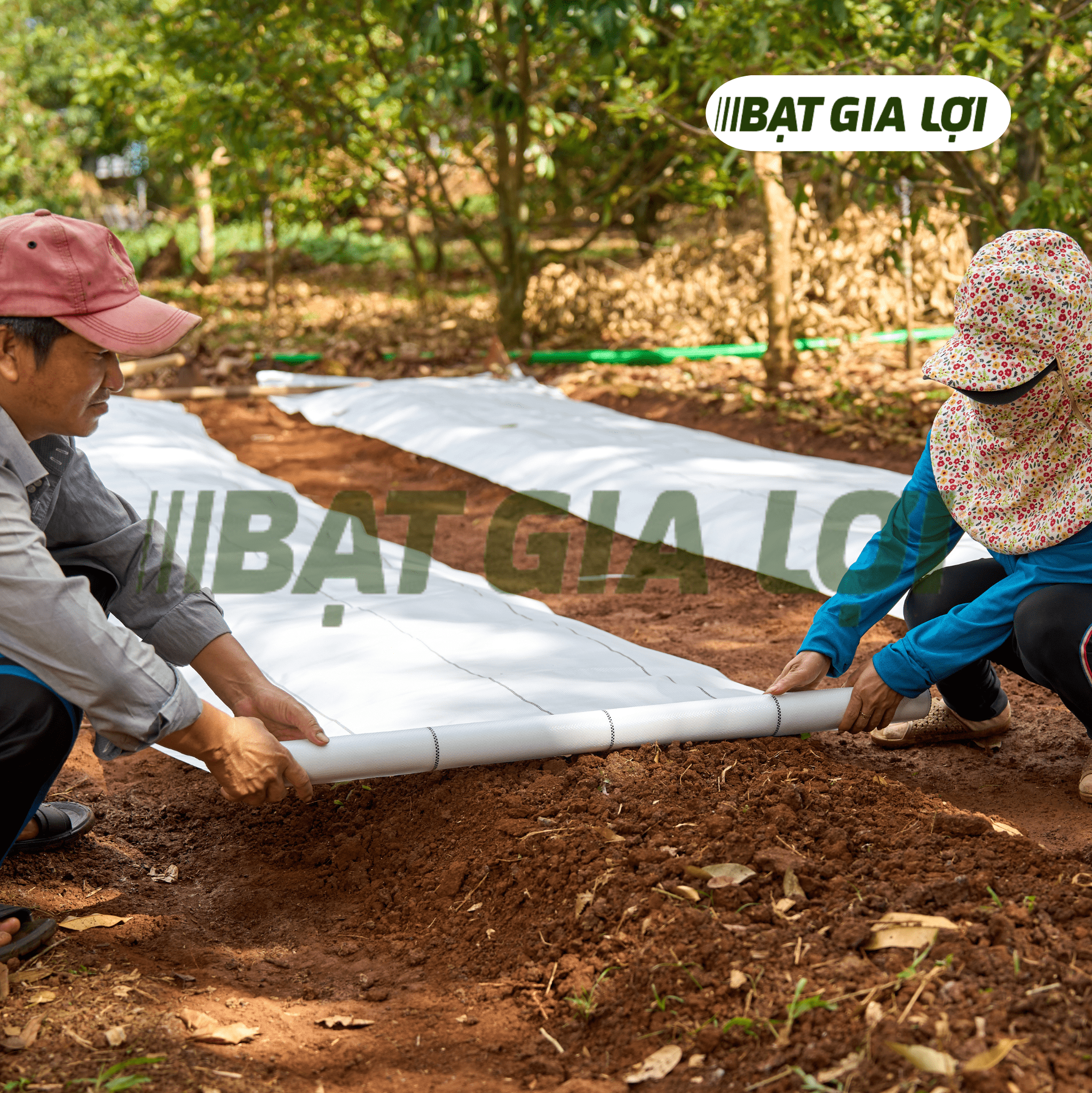 Bạt Trải Nền Nhà Kính PP 180gr/m2 Trắng - Tiêu Chuẩn Mỹ