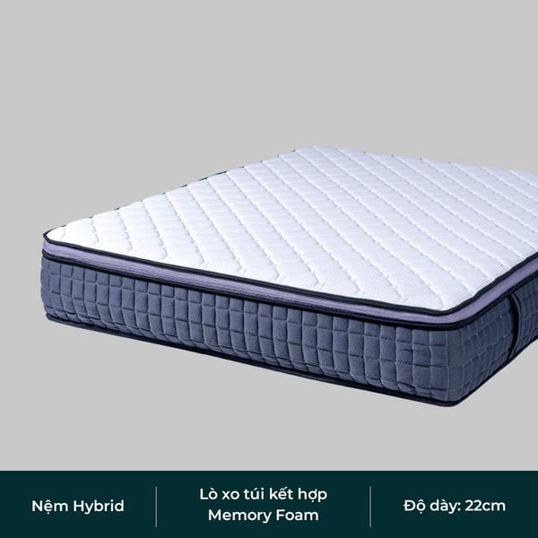 Nệm Hybrid Lò Xo Túi Kết Hợp Memory Foam - 하이브리드 포켓 스프링 메모리폼