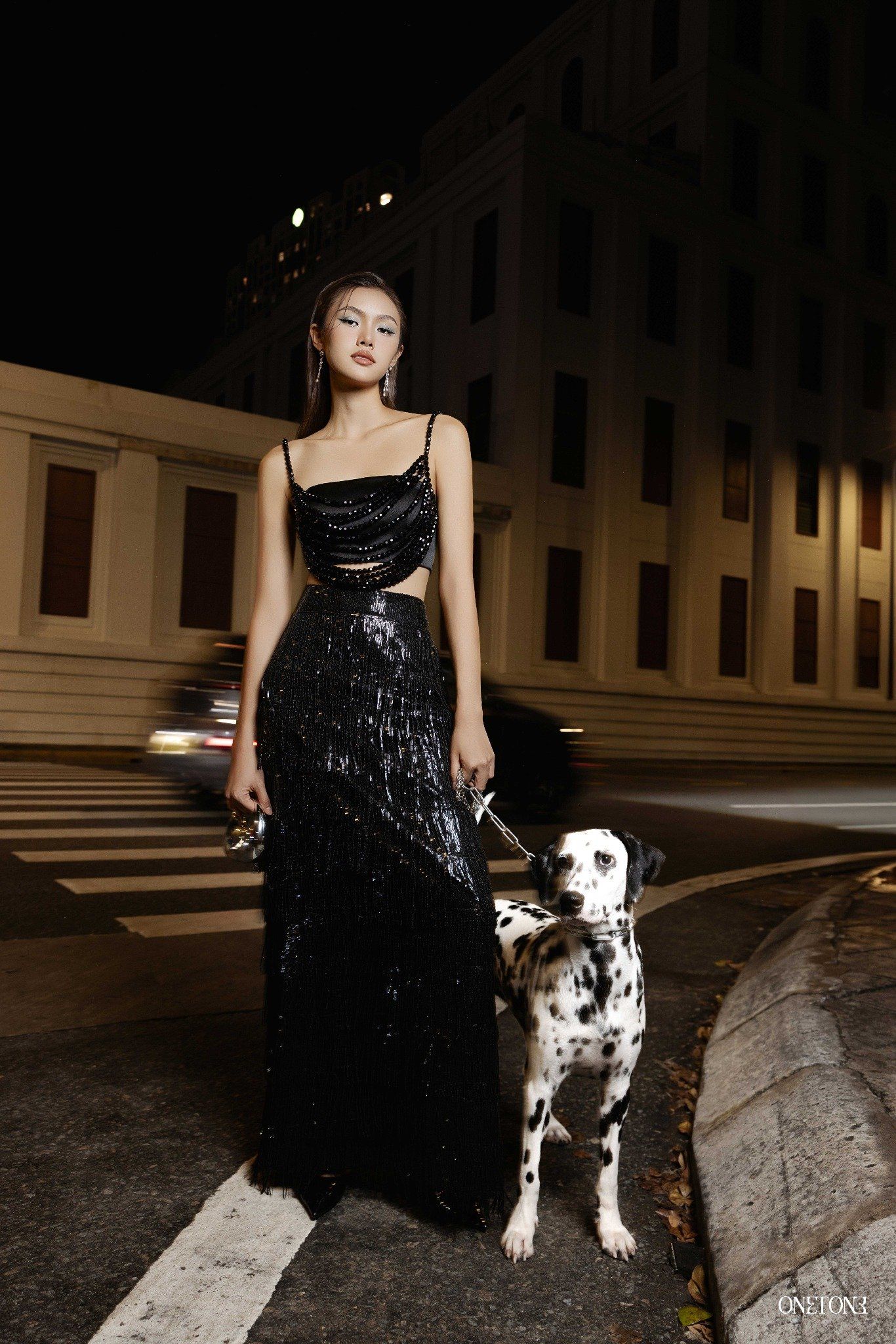 Chân Váy Midi Sequin