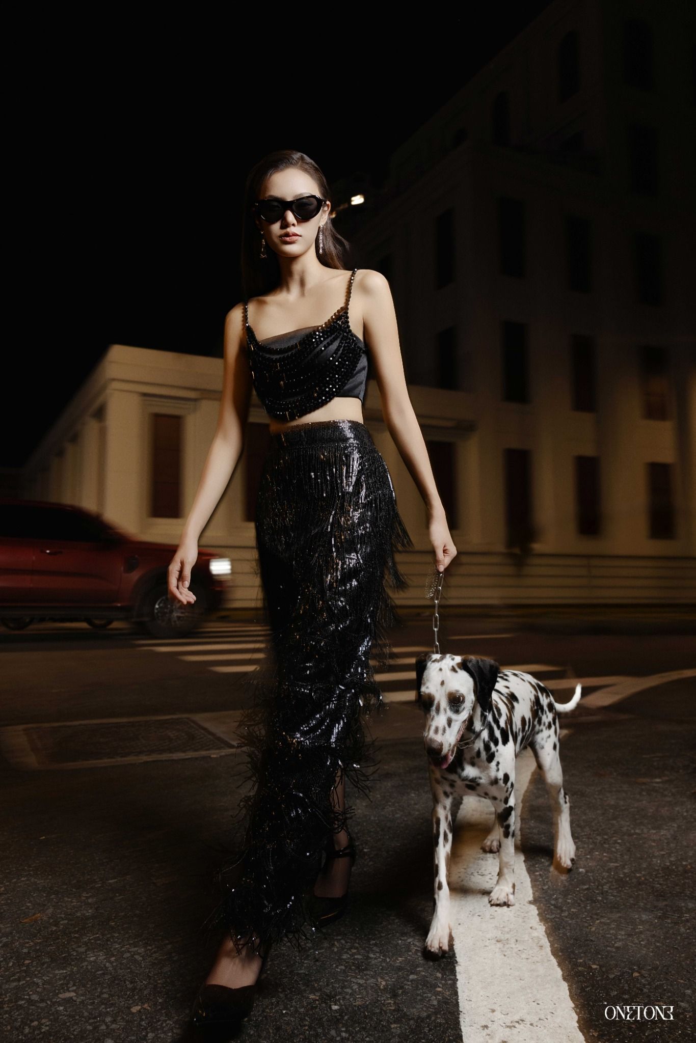 Chân Váy Midi Sequin