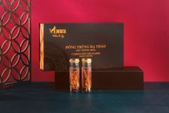 Đông trùng hạ thảo nguyên con sấy thăng hoa Venus 10g (50 con) - Nhộng trùng thảo khô