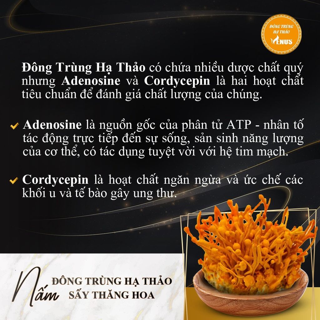 Nấm đông trùng hạ thảo sấy thăng hoa 20G (sấy khô) - VENUS KHỎE LÀ ĐẸP