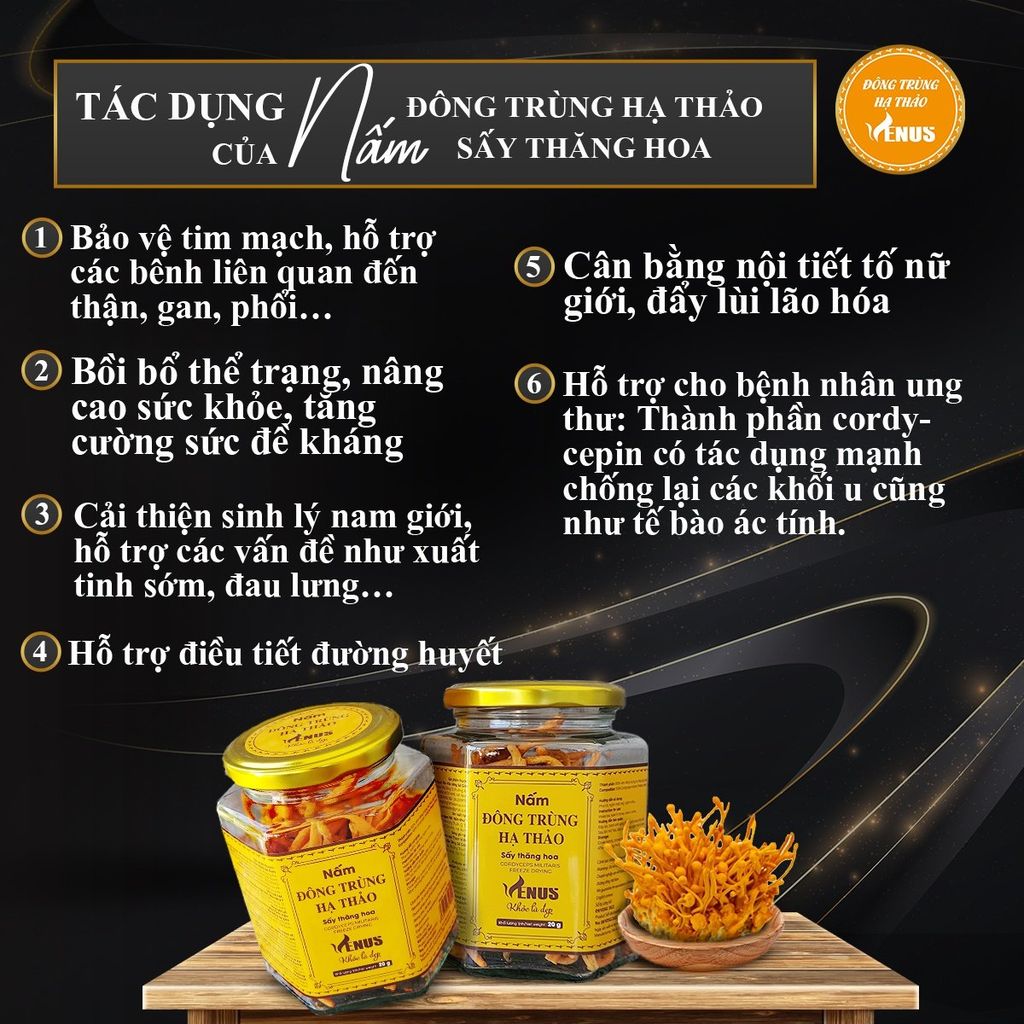 Nấm đông trùng hạ thảo sấy thăng hoa 20G (sấy khô) - VENUS KHỎE LÀ ĐẸP