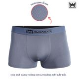 Quần sịp nam thun lạnh lỗ kim thông hơi - AVSD2