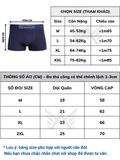 Combo 3 Quần sịp đùi nam thun lạnh cao cấp - AVSD