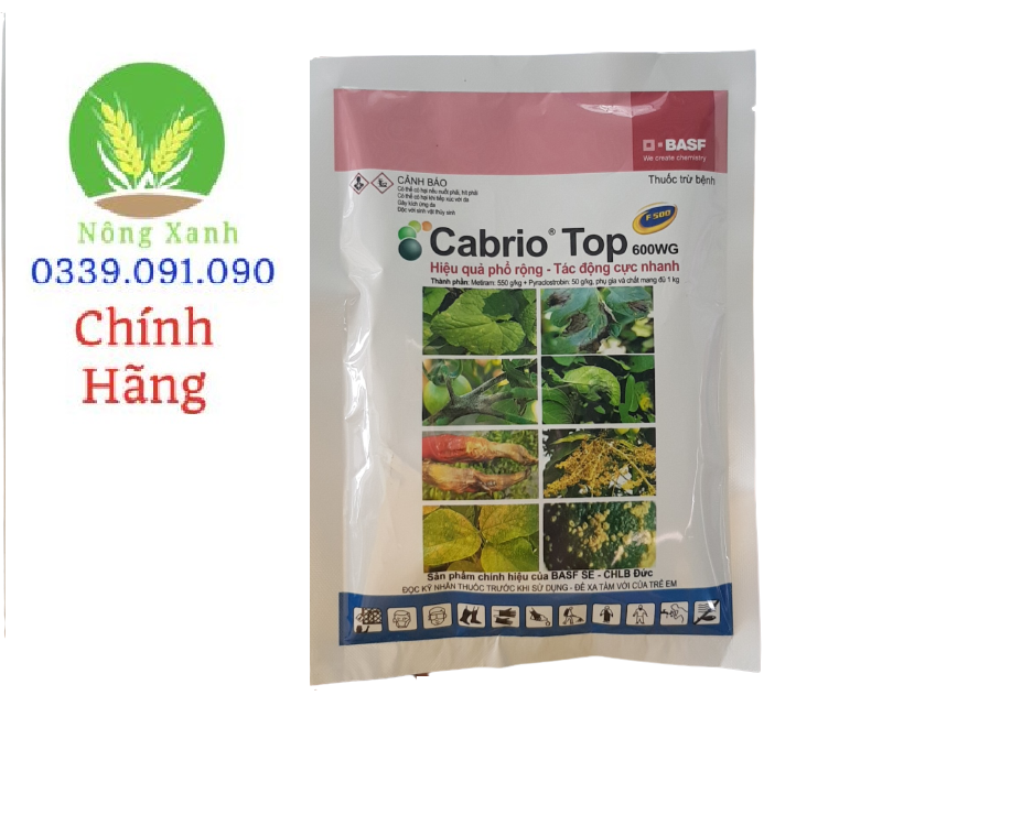 Thuốc trừ bệnh Cabrio Top 600 Dưa hấu bị sương mai-Dưa leo bị sương mai