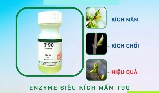 siêu kích mầm T90. t 90 (chính hãng) kích mầm cho cây mai vàng,lan và hoa hồng