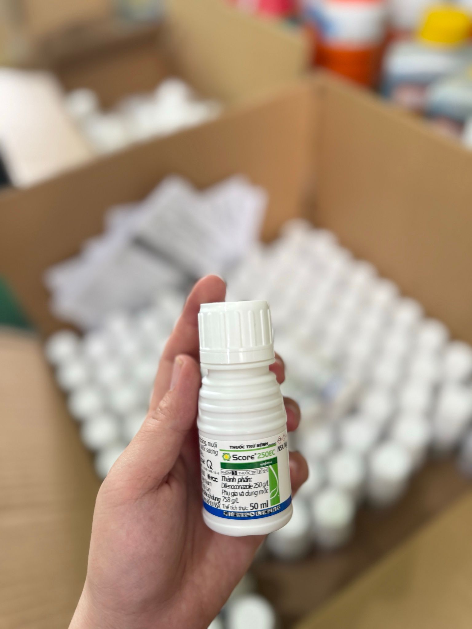 SCORE 250EC ĐẶC TRỊ Bệnh phấn trắng, muội đen, đốm nâu trên cây trên hoa lan, Thán thư điều