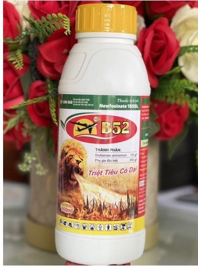 TRỪ CỎ B52 ,Trừ Cỏ Sinh Học NEWFOSINATE 150SL , CỎ B52 Triệt Tiêu Cỏ Dại, Mần Trầu, Rau Trai, Cỏ Chỉ