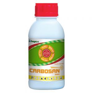 Carbosan 25EC Trừ ruồi vàng - sâu đục thân - rệp sáp (CHAI 400ML)