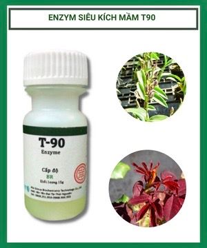 siêu kích mầm T90. t 90 (chính hãng) kích mầm cho cây mai vàng,lan và hoa hồng