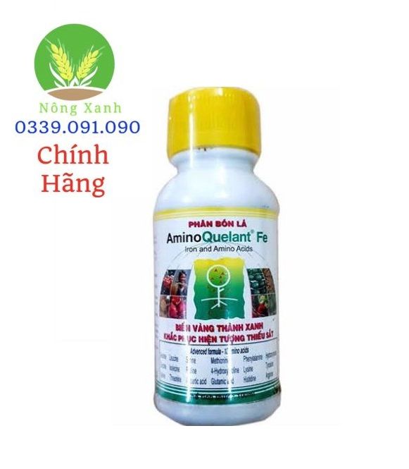 Phân bón lá Amino - sắt Amino Quelant -Fe - chống vàng Lá