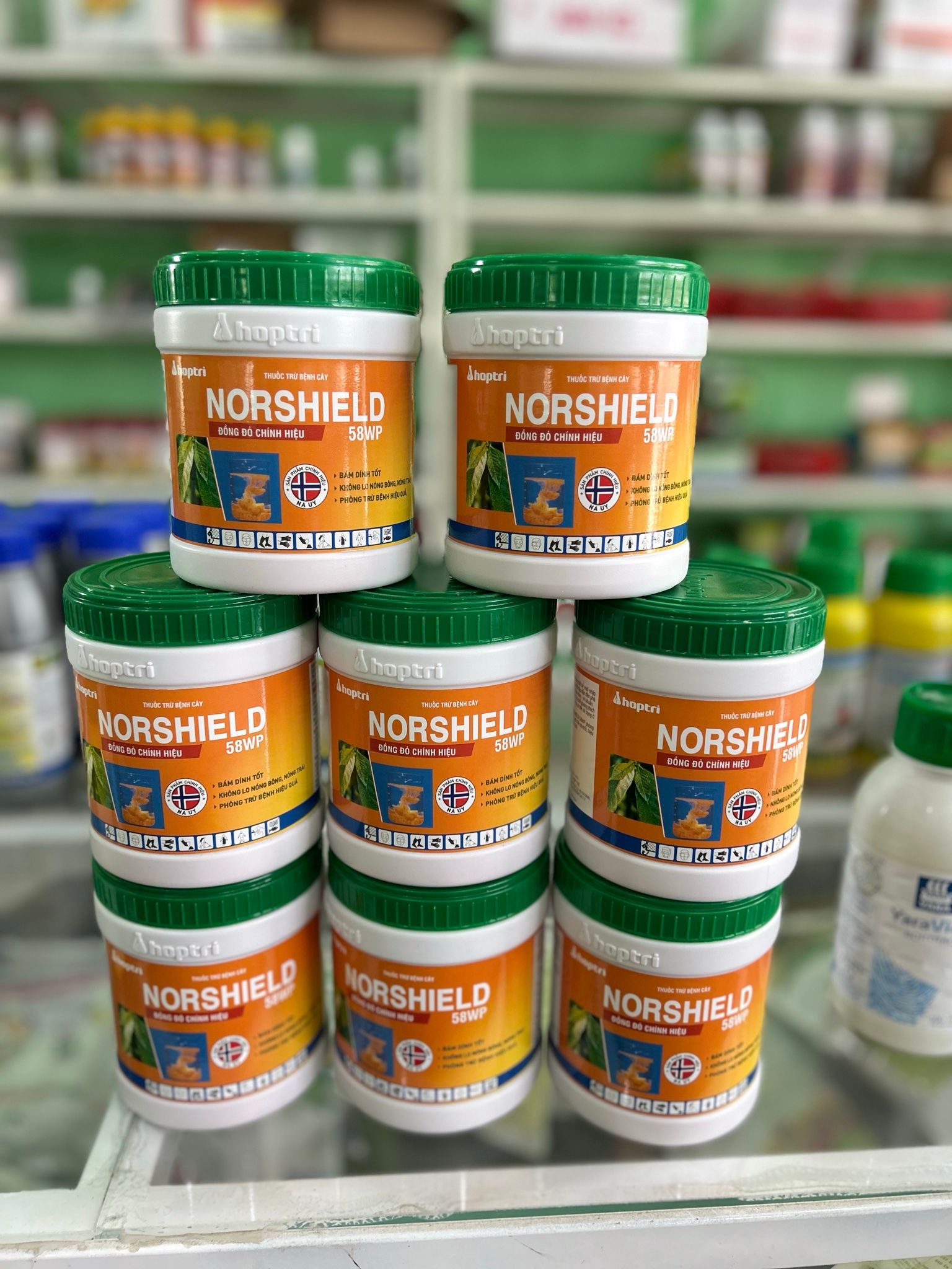 Norshield 58wp (hủ 400g) hợp trí