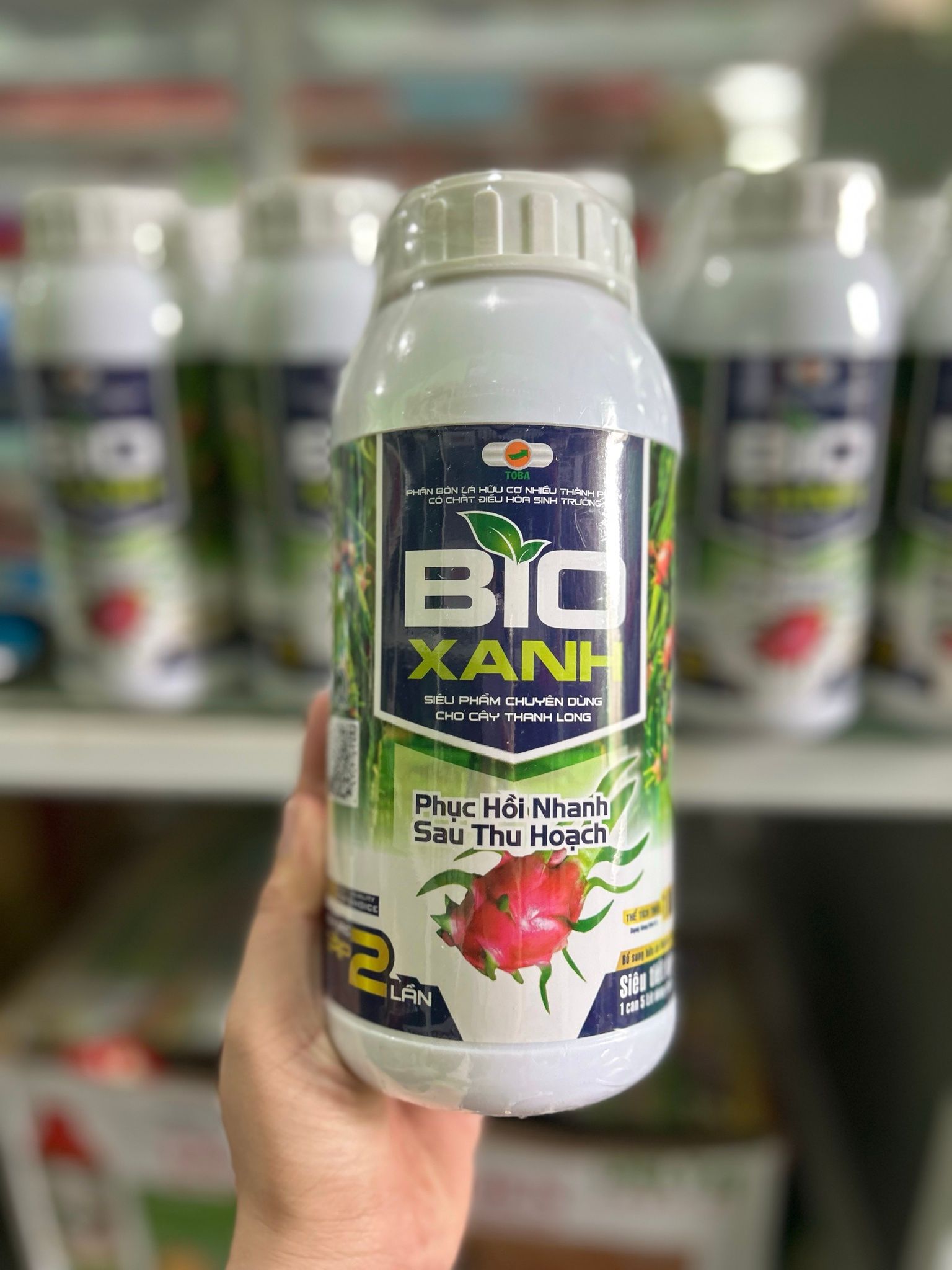 BIO XANH Phục hồi vườn thanh long suy yếu