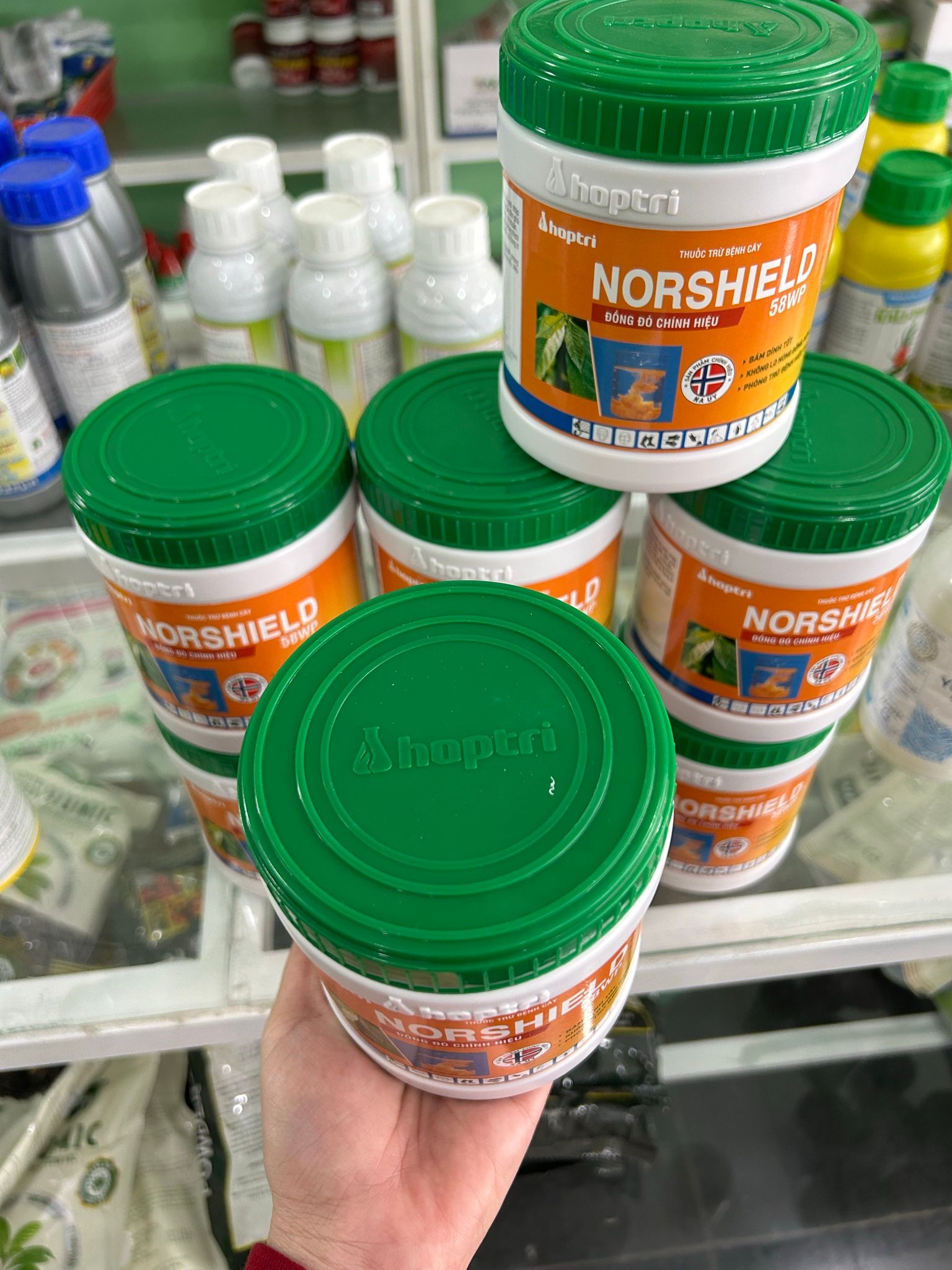 Norshield 58wp (hủ 400g) hợp trí