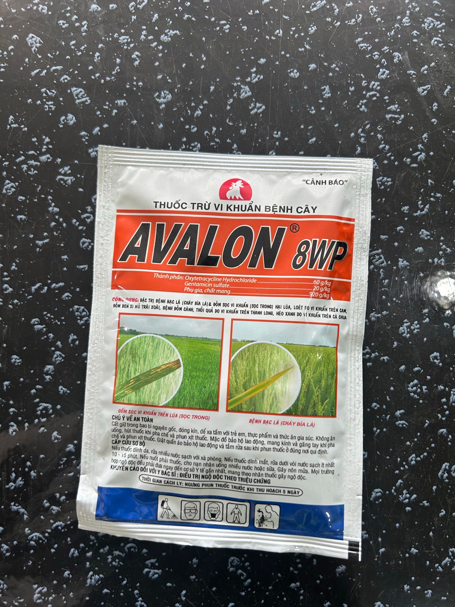 Avalon 8WP - Thuốc Đặc Trị Vi Khuẩn - Thối Nhũn